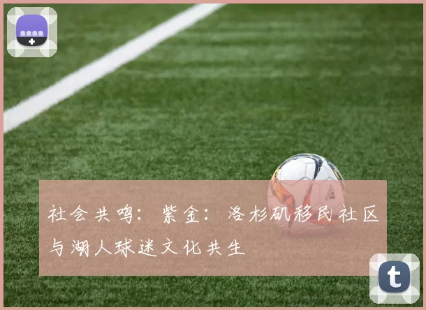 社会共鸣：紫金：洛杉矶移民社区与湖人球迷文化共生