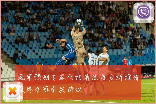 冠军预测专家们的看法与分析谁将最终夺冠引发热议