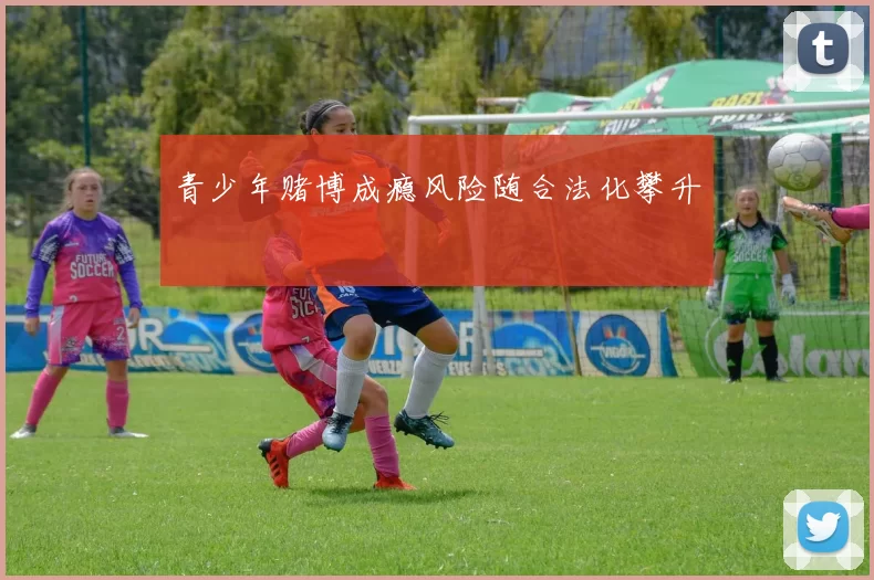 青少年赌博成瘾风险随合法化攀升