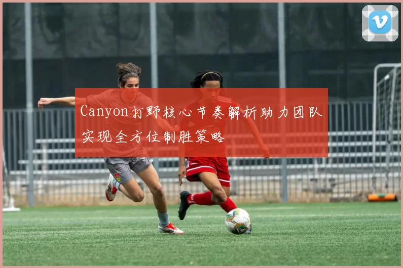 Canyon打野核心节奏解析助力团队实现全方位制胜策略