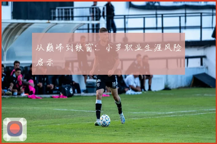 从巅峰到铁窗：小罗职业生涯风险启示