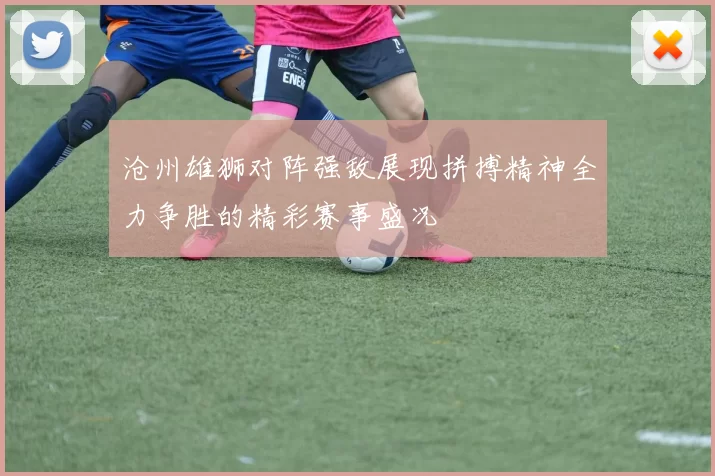 沧州雄狮对阵强敌展现拼搏精神全力争胜的精彩赛事盛况