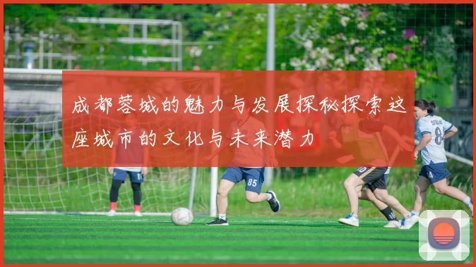 成都蓉城的魅力与发展探秘探索这座城市的文化与未来潜力