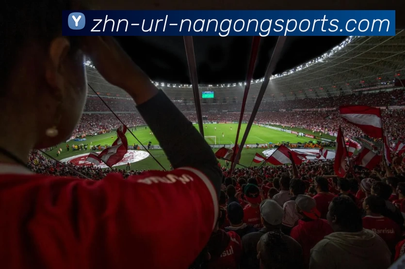 ng体育发展历程